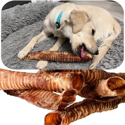 CHRUVKA PRE VEĽKÝCH PSOV PRÍRODNÁ HOVÄDZIA TRACHEA, VEĽKOSŤ XL