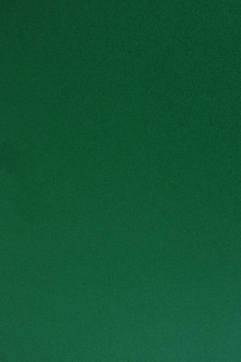 Papier Sirio Col. 210g Foglia zelená - 25A4