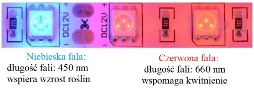 GROW 5630 FullSpectrum LED pásik pre rast rastlín