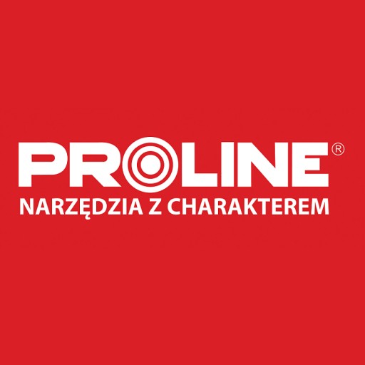 PROLINE Bity 1/4 TORX T25 100mm 2ks.