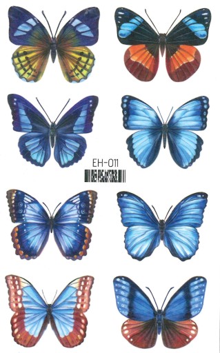 Umývateľné tetovanie pre deti BUTTERFLIES EH011