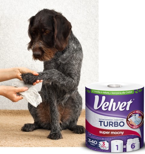 Zamatová papierová utierka TURBO 1 gigaroroll + ZADARMO