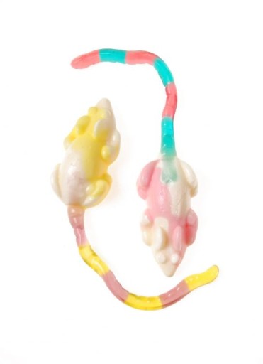 Trolli Playmouse Myszki Ovocné želé s príchuťou 100