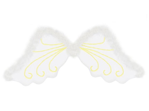 KRÍDLA PRE ANJELA NITCH PLAY ANGEL ANGEL
