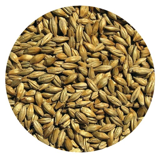 DEXTRINE jačmenný slad 1kg Viking Malt