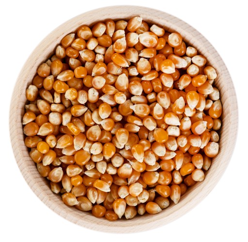 POPCORN CORN 500g zrno na praženie bez soli | Je to zdravé