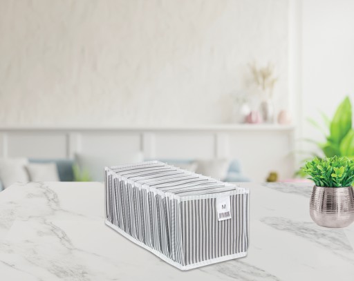 Organizér do zásuvky na spodnú bielizeň s priehradkami M 43x15x14CM