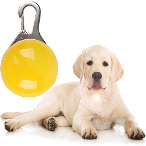 SVIETIACA LED LAMPA DO OBOJKU PRE PSA A MAČKU, farba na výber, PRÍvesok na GOLÍK