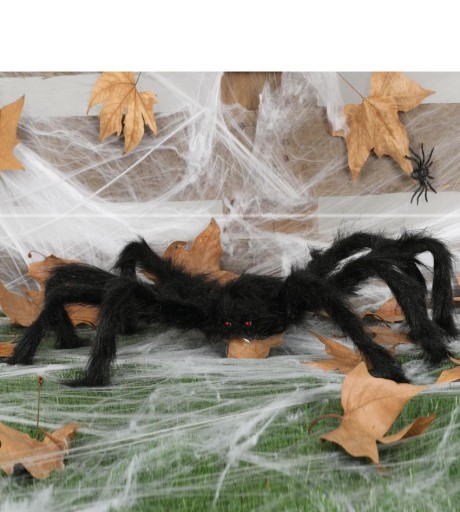 Veľký pavúk, 60 cm