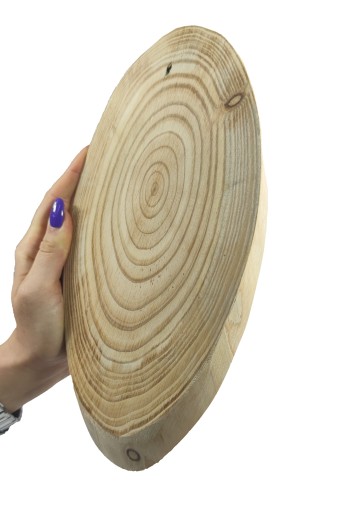 DREVENÝ PLÁZEK ELIPTICKÝ SMREKVIDOVÝ ŠIKMÝ 25-30 CM DEKORATÍVNY PODANÍK BEZ KÔRY