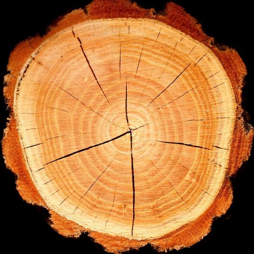 YODEYMA Boreal dámsky parfém 15 ML