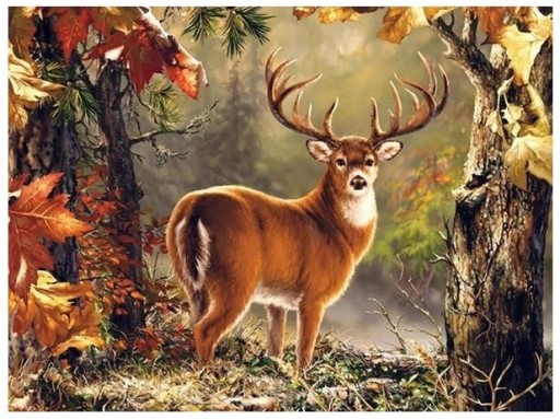 5D PICTURE Diamantové vyšívanie DEER Diamantové maľovanie Diamantový rezací papier