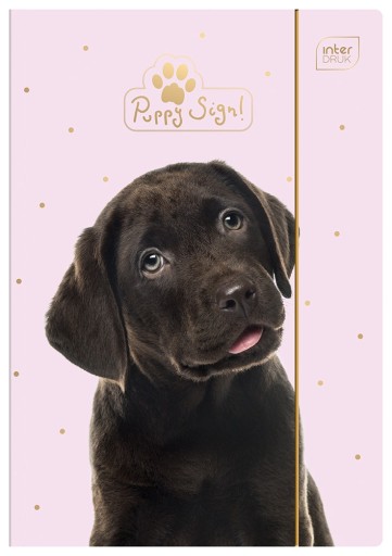 Leporelo s gumičkou A4+ LUX UV PUPPY INTERPRINT