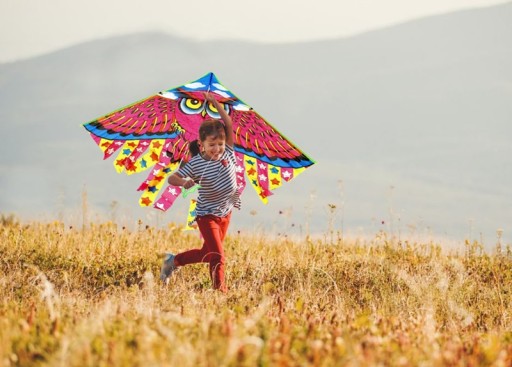 Šarkan pre deti s rúčkou Farebná sova 95 cm