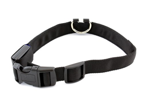 AG232A LED OSVETIACE GOLIER 34-42CM MODRÁ