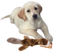 VEĽKÁ PLYŠOVÁ HRAČKA PRE PSA VEVERIČKU VVERIČKU