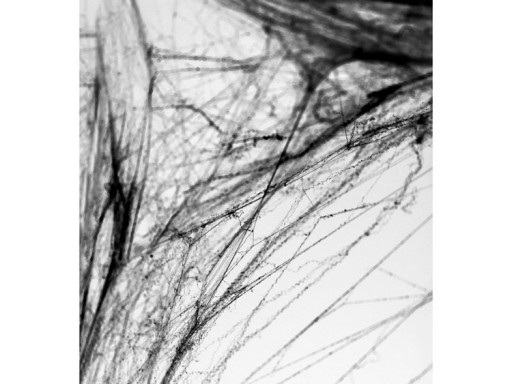 BLACK HALLOWEEN SPIDER WEB 60G