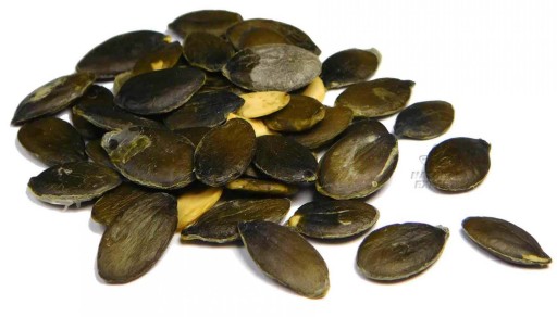 LÚPANÉ TEKVICOVÉ SEMIENKA 500g POĽSKÁ TEKVICA