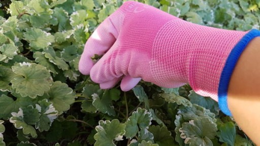 RHOTPINK-PU RW ochranné rukavice veľkosť 8 - M 1 pár