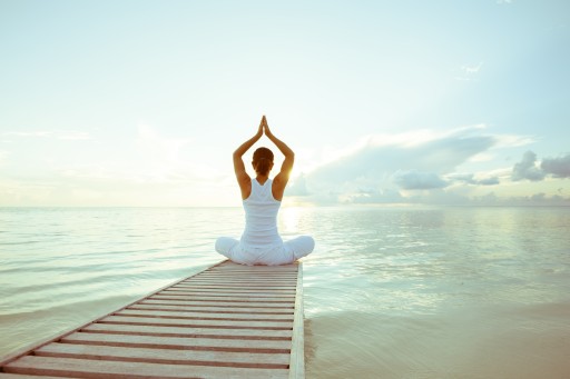 Psyllium 500g semená, zdroj vlákniny