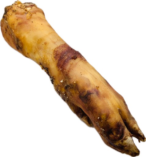 Bravčové stehno XXL Pochúťka pre psa ZUBY Prirodzene sušené 1 ks.