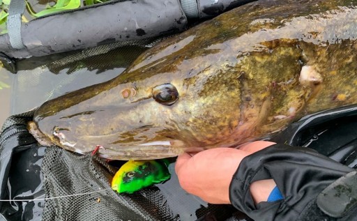 Fluorokarbónový náväzec Savage Gear Regenerator 10 kg 30 cm