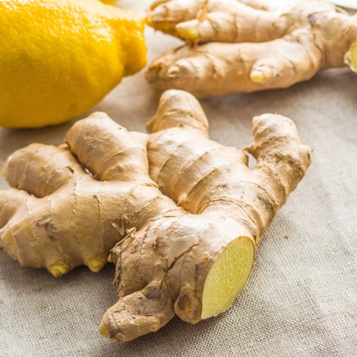 Citrón v sirupe so zázvorom 260g