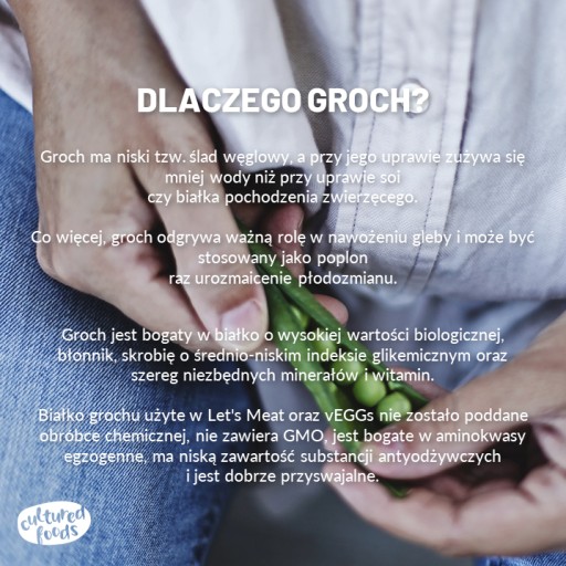 RASTLINNÁ NÁHRADA VAJEC ZA PIŠTENÉ VAJCIA, Omelety, QUICHE A INÉ JEDLÁ Z VAJEC