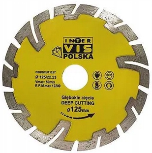 Diamantový rezací kotúč Inter Vis 125x22 mm
