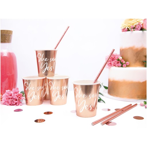 Papierové slamky 19,5 cm 10 ks Rose Gold 019R