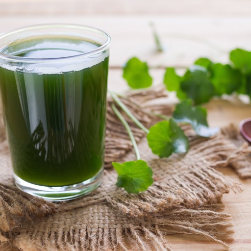 GOTU KOLA list ázijskej Pennywort sušená bylina 100%
