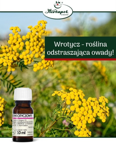 HERBAPOL ESENCIÁLNY OLEJ 100% TANSICS 10 ml