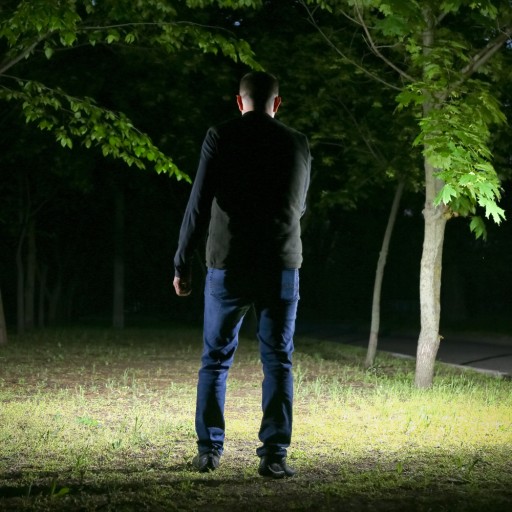 Klasická LED dobíjacia baterka so zástrčkou 14CM, manuálna, 2 režimy, 120 m