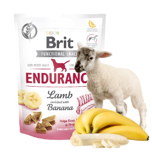 Brit Care Funkčný snack pre psov ENDURANCE Lamb 150g