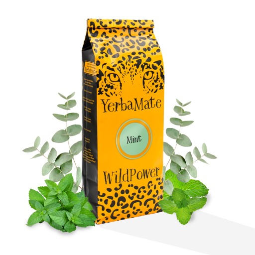 YERBA MATE WILD POWER MINT EUKALYPTUS MINT 200G