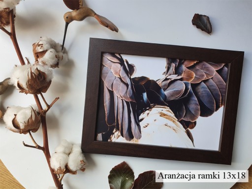 Diplomový fotorámik 18x24 Italia Venge