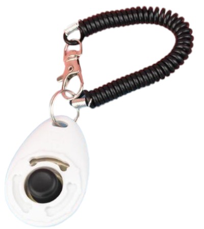 VÝCVIK CLICKER PRE PSOV VÝCVIK VÝCVIKU CLICKER METÓDA POSLUŠNOSTI