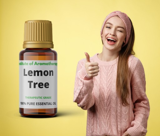 LEMON TREE olej osviežuje a dezinfikuje vzduch