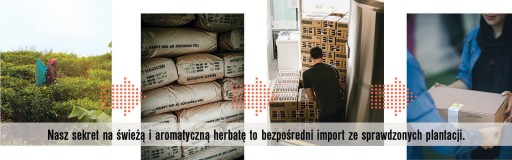 Biely čaj s chryzantémovým kvitnúcim čajom KULA