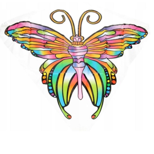 KITE 61*66 CM