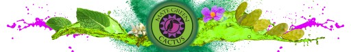 Yerba Mate Zelený kaktus - 200g despalada 0,2 kg