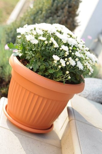 ZÁHRADNÝ KVETINÁČ, priemer 20cm, ODOLNÝ PROTI PRASKANIU