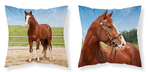Detská obliečka na vankúš 40x40 koní MF 03 Kids 114