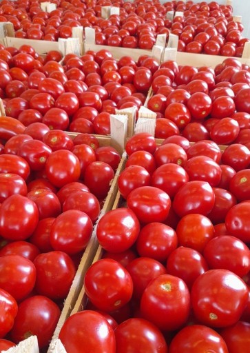 Paradajková passata Sicília Le Tre Castagne dell'Etna 350g