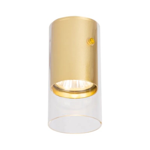 Ricky Downlight Gold 1xGU10