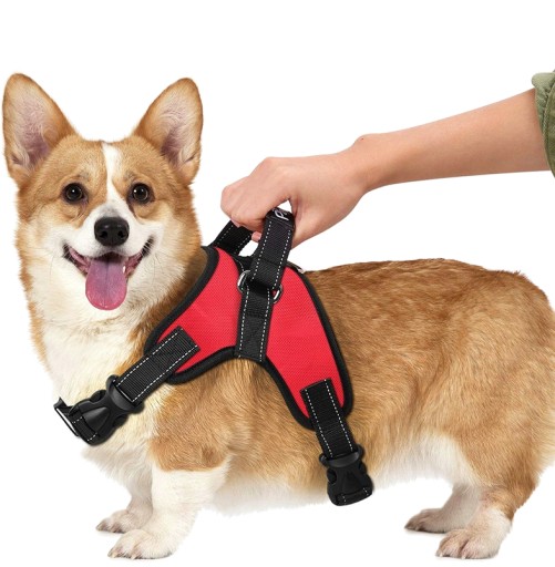 PEVNÝ POSTROJ PRE PSOV PANTERKA veľkosť XL 84cm