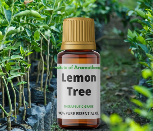 LEMON TREE olej osviežuje a dezinfikuje vzduch