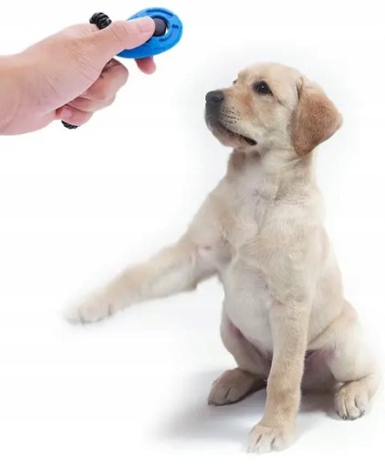 Clicker na špirálovom lane kliker na výcvik psov