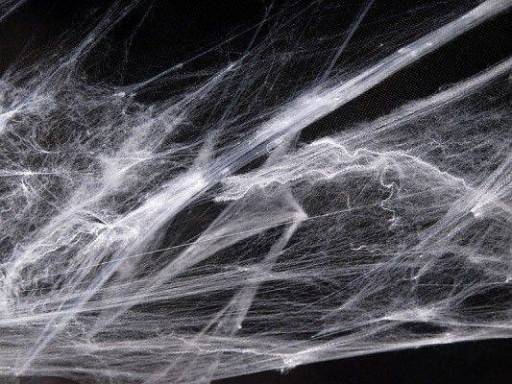 Pavučina s 12 pavúkmi Halloweenska dekorácia