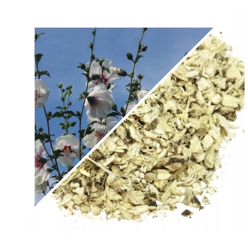 marshmallow koreň ibišteka 50 g - lubelski herbár